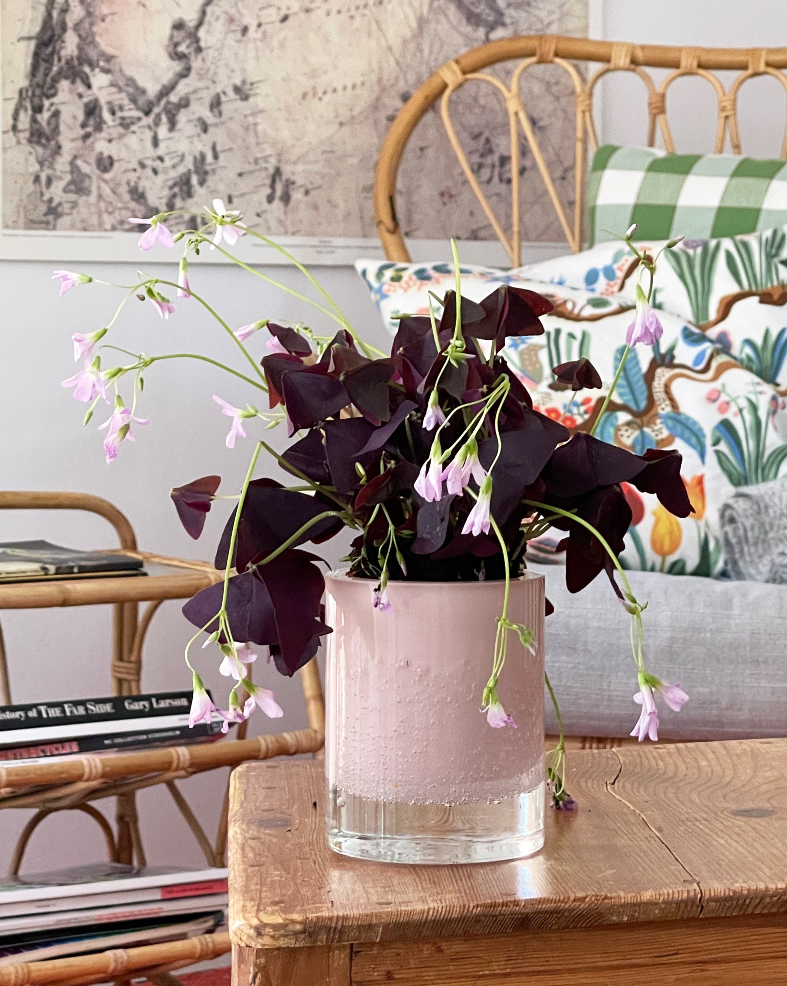 Pink deals hurricane lamp